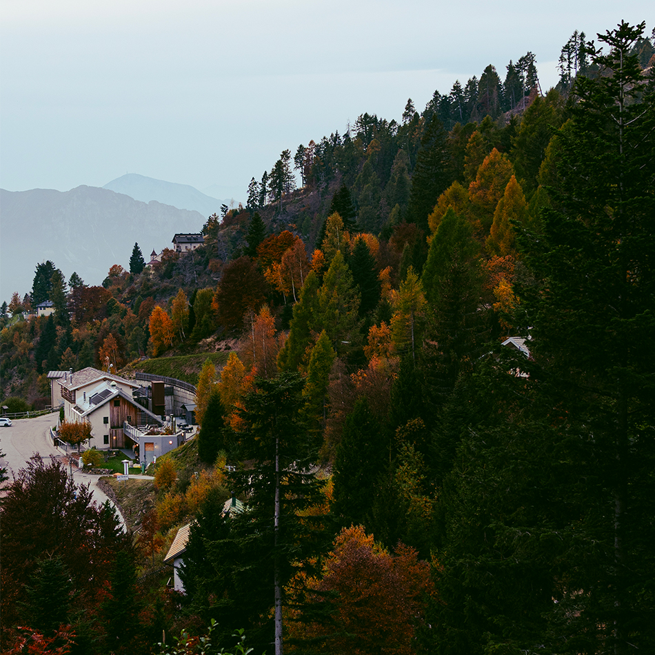 Riduzione Nif.jpg ambient